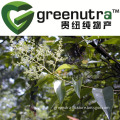 Glossy Privet Fruit Extract